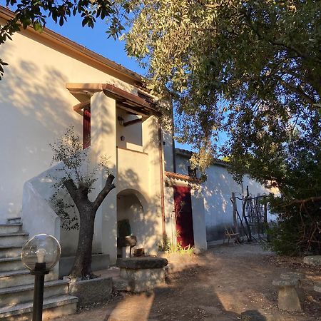 Galtellì Taddore Green Lodge מראה חיצוני תמונה