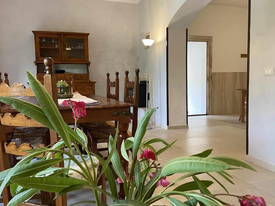 Galtellì Taddore Green Lodge מראה חיצוני תמונה